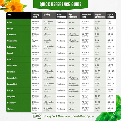 Pack 15 2950+ Medicinal Herb Seeds Variety Calendula, Echinacea, Lemon Balm, Hyssop & Lovage Varieties, Non-GMO