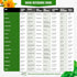 Pack 15 2950+ Medicinal Herb Seeds Variety Calendula, Echinacea, Lemon Balm, Hyssop & Lovage Varieties, Non-GMO