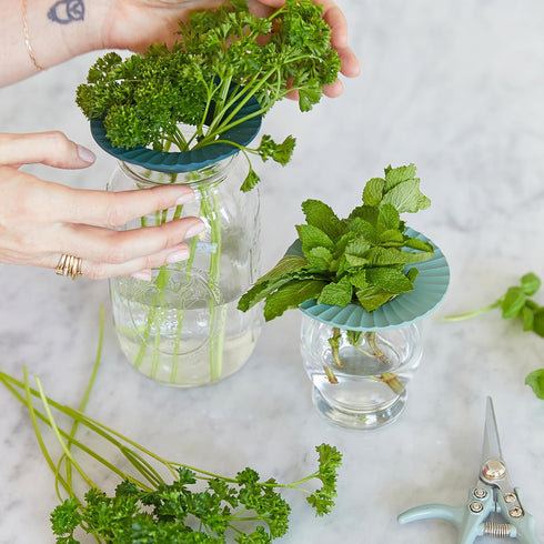 2 2 Pack Modern Sprout Produce Keeper for Fresh Herbs & Greens - Eco-Friendly, BPA-Free, Sustainable Materials