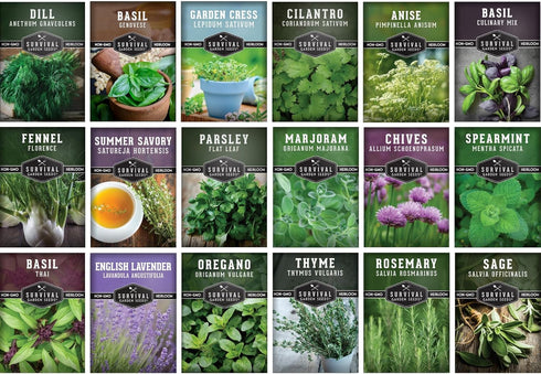 Culinary Herb Seeds Variety Pack for Planting - Grow 18 Heirloom Kitchen