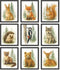97 Decor Woodland Nursery Wall Decor - Forest Nursery Wall Art Prints