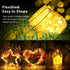 1 Pack (16ft./5M,Warm Ariceleo USB LED Fairy String Light, Copper Wire Fairy Lights for Indoor, Bedroom Festival