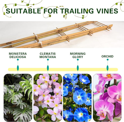 10 Pack, 16 Inches S2 Bamboo Trellis Natural Bamboo Plant Ladder Stakes, Fan-Shaped Plant Support Stand for Orchid