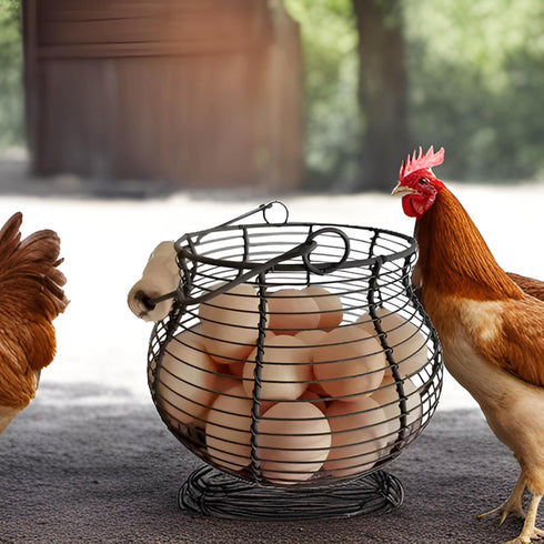 LINCOUNTRY. Countertop Farmhouse Wire Egg Baskets for Gathering Fresh Egg With Handle, Round Metal Chicken Egg