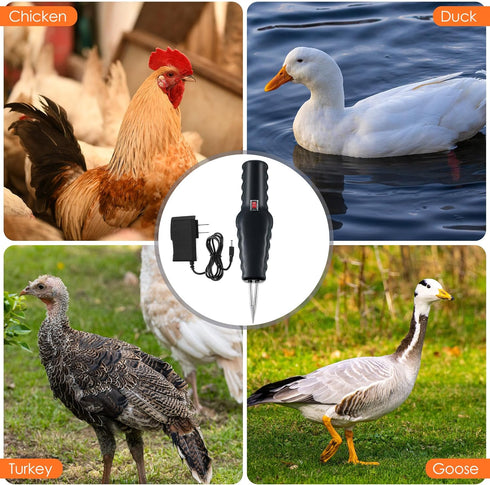 1 Pack Handheld Chicken Plucker, Electric Quick Poultry Plucker Machine for Removing the Pin Feathers, Portable