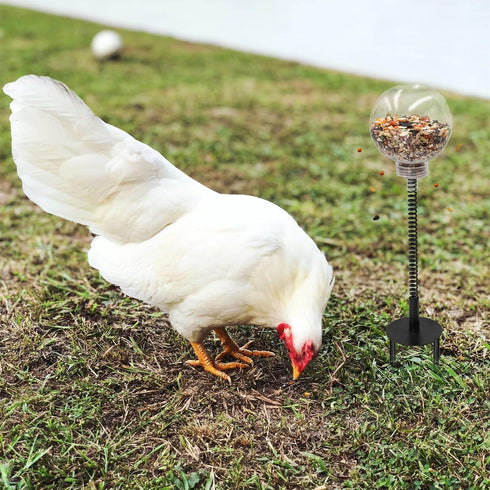 Oooct 4 Pack Chicken Pecking Toys with Swing Feeder, Coop Slow Feeder Toy for Chickens, Chicks, Ducks, Hens, Parrots
