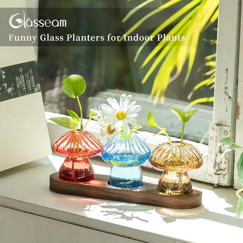 3Pcs Glasseam Mushroom Plant Propagation Station: Glass Plant Terrarium Jar with Wood Stand Unique Hydroponic Planters