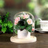 JUXYES Clear Glass Display Dome Cloche with Solid Wood Base, Transparent Dome Cloche Bell Terrarium Jar Glass Dustproof