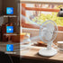 Comfort Zone Desk Fan, Fully Adjustable Tilt, Electric Mini Desk Fan, 6 inch, Quiet, 2 Speed, Ideal for Home, Bedroom,