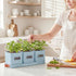 Set PERFNIQUE Indoor Herb Garden, Herb Garden Planter with Tray, Farmhouse Indoor Plant Pots, Windowsill Herb Garden