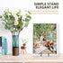 LIONWEI LIONWELI Decorative Plate Stand Holder - Picture Frame Easel Display Stand