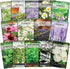 Sow Right Seeds - Large Medicinal Herb Seed Collection for Planting -