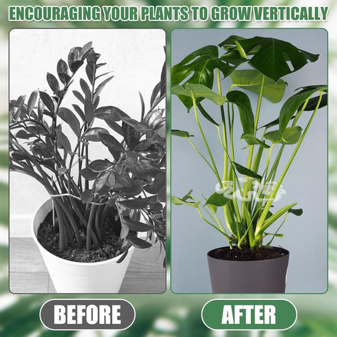 PEUTIER Monstera Shaped Plant Stand, Acrylic Flower Shape Plant Support Stakes Plant Growth Accessories for Indoor