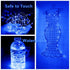Ranlraka 7Ft 20 Decoration-2Pack Blue Battery Operated LED String Lights LED Silver Copper Wire Fairy Ambiance Lighting
