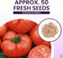 Pink Ponderosa Heirloom Tomato Seeds - Large Tomato - One of the Most Delicious Tomatoes for Home Growing, Non GMO