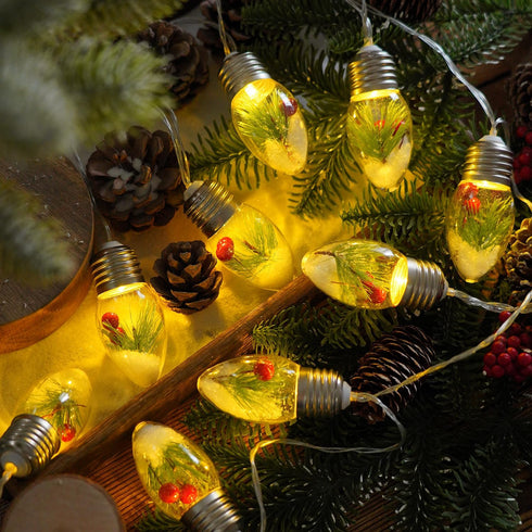 HFXXAD 10 Bulbs Decorate(6.6FT Christmas Lights Indoor, LED Clear Christmas Tree Snow Globe String Lights with Berry
