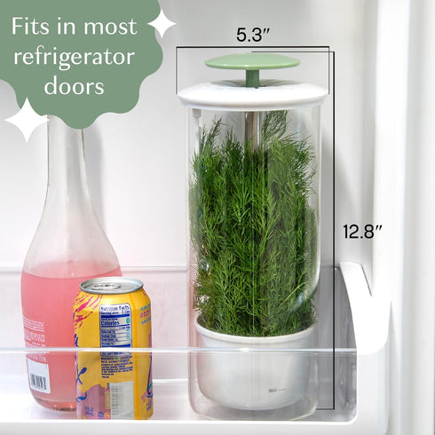 Goodful Herb Keeper Preserver, Designed for Optimum Breathable Airflow for Maximum Freshness, Water Line Ensures the