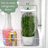 Goodful Herb Keeper Preserver, Designed for Optimum Breathable Airflow for Maximum Freshness, Water Line Ensures the