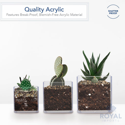 Royal Imports Clear Flower Acrylic Vases Cubes - Decorative Centerpiece for Home or Wedding, Non-Breakable Plastic, 5x5