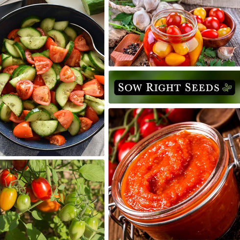 Packet (1) Sow Right Seeds - Rio Grande Tomato Seeds for Planting - Non-GMO Heirloom with Instructions to Plant a Home