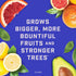 4 Pennington Rejuvenate Citrus & Avocado Pounds