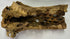 Awesome Industries Natural Cholla Wood Chunk Large Air Plant Display Holders Individually Unique Decorative Stands