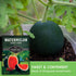 (1 Pack) Sugar Baby Watermelon Seeds - Grow Little Round Icebox Watermelons at Home - Non-GMO Heirloom Variety