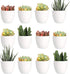Youngever 24 Pack 2 Inch Mini Plastic Planters - White Indoor Flower Pots with Drainage