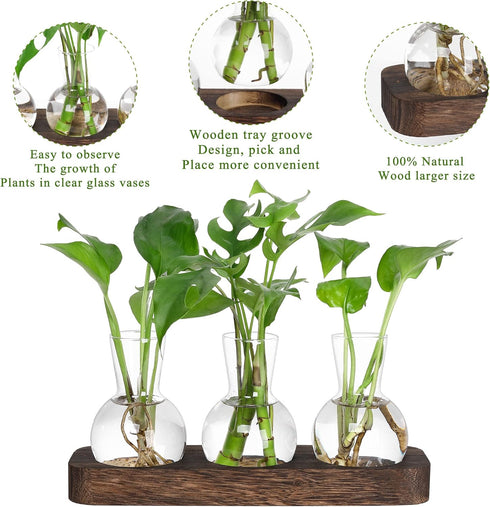 Decor(3 YIBOT Propagation Stations,Plant Propagation Vase,Desk Plant Terrarium with Retro Wooden Stand,Plant Lover