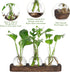 Decor(3 YIBOT Propagation Stations,Plant Propagation Vase,Desk Plant Terrarium with Retro Wooden Stand,Plant Lover