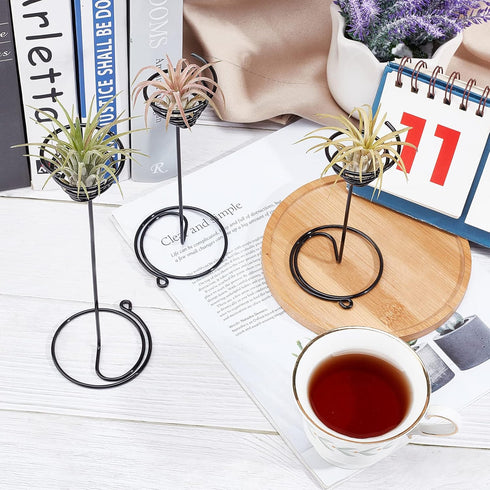 6 Packs 3 AHANDMAKER Airplant Planter Holder, Sizes Air Plant Container Tillandsia Holder for Displaying Small Air