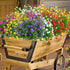 6 Bundles Outdoor Artificial Flowers - UV Resistant Fake Boxwood Plants for Indoor Outside Hanging Plants Garden Decor