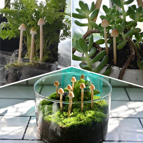 Mumutie 8-Pack Handmade Clay Mushrooms - Mini Fake Mushrooms for DIY Miniature Landscapes & Fairy Gardens - Desktop