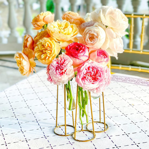 3 Propagation Station Terrariums with Gold Metal Stand - Kate Aspen Glass Test Tube Planters for Indoor Plant, Air