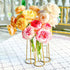 3 Propagation Station Terrariums with Gold Metal Stand - Kate Aspen Glass Test Tube Planters for Indoor Plant, Air