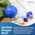 Bluapple Ethylene Gas Absorber Produce Saver Combo Pack, 8 Packets and 2 Bluapples, Keeps Fruits Fresh