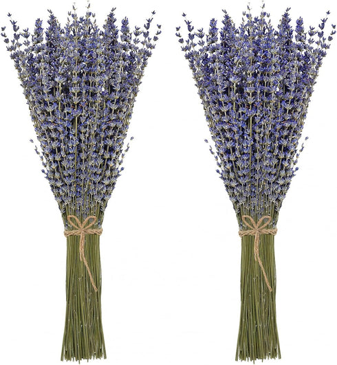 Timoo Dried Lavender Bundles, 100 Natural Flowers for Home Decoration, Photo Props, 2 Bundles Pack