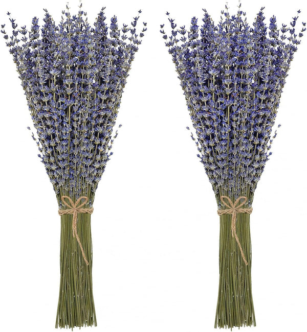 Timoo Dried Lavender Bundles, 100 Natural Flowers for Home Decoration, Photo Props, 2 Bundles Pack