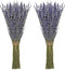 Timoo Dried Lavender Bundles, 100 Natural Flowers for Home Decoration, Photo Props, 2 Bundles Pack