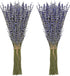 Timoo Dried Lavender Bundles, 100 Natural Flowers for Home Decoration, Photo Props, 2 Bundles Pack