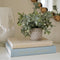 Beautiful Decorative Books - Set of 2 Linen Boxes Enhance Your Coffee
