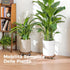 Bamworld14 Inch 240 Lbs 360 2-Pack Wood Plant Caddy with Wheels Heavy-Duty Plant Dolly with Capacity, Lockable Wheels
