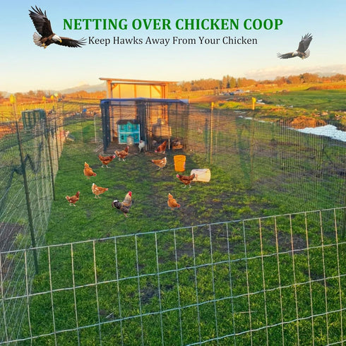 25x50 2.4" CITOOTY Bird Netting for Chicken Coop Run, Ft Heavy Duty Poultry Netting with Mesh, UV Resistant Black Net