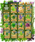 HOME GROWN Organic Herb Seeds Variety Pack - Non GMO, Heirloom 2,500+