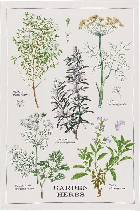 Now Designs Garden Herbs Printed Kitchen Towel, 18x28 inches