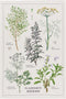 Now Designs Garden Herbs Printed Kitchen Towel, 18x28 inches