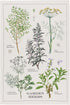 Now Designs Garden Herbs Printed Kitchen Towel, 18x28 inches