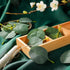 WILLBOND 400+ Pcs Eucalyptus Leaves, Fake Eucalyptus Petals for Boho Wedding Table Decor and DIY