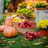 24 ZEAYEA Pcs Artificial Apples, Realistic Fake Red Delicious Apples, Decorative Lifelike Faux Apples for Home Kitchen