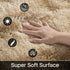 4x6 Merelax Area Rugs for Living Room Bedroom, Machine Washable Feet Soft Fluffy Shaggy Bedside Rug, Indoor Floor